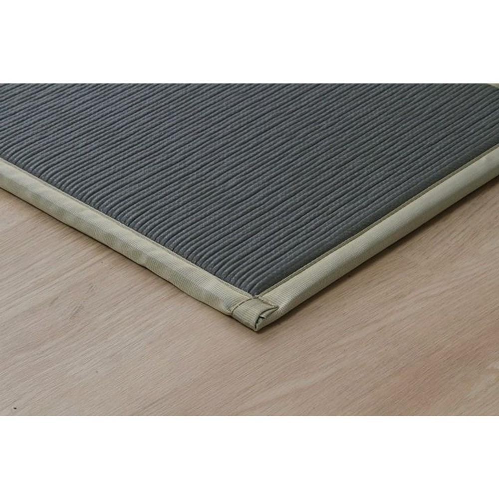 畳マットレス い草 ユニット 畳 軽量 抗菌防臭 消臭 防音 断熱性 お手入れ 約100&times;200cm【メーカー直送・代引不可】, い草, 100&times;200cm