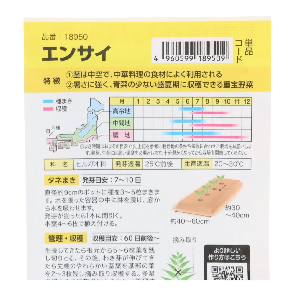 エンサイ（おためしパック）, エンサイ, 3ml