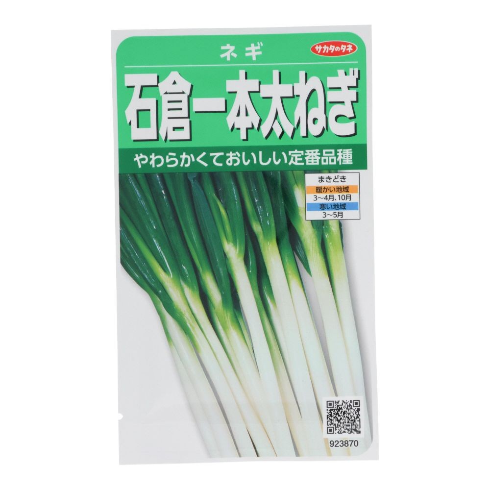 サカタ　　　石倉一本太ネギ, ネギ, 8ml