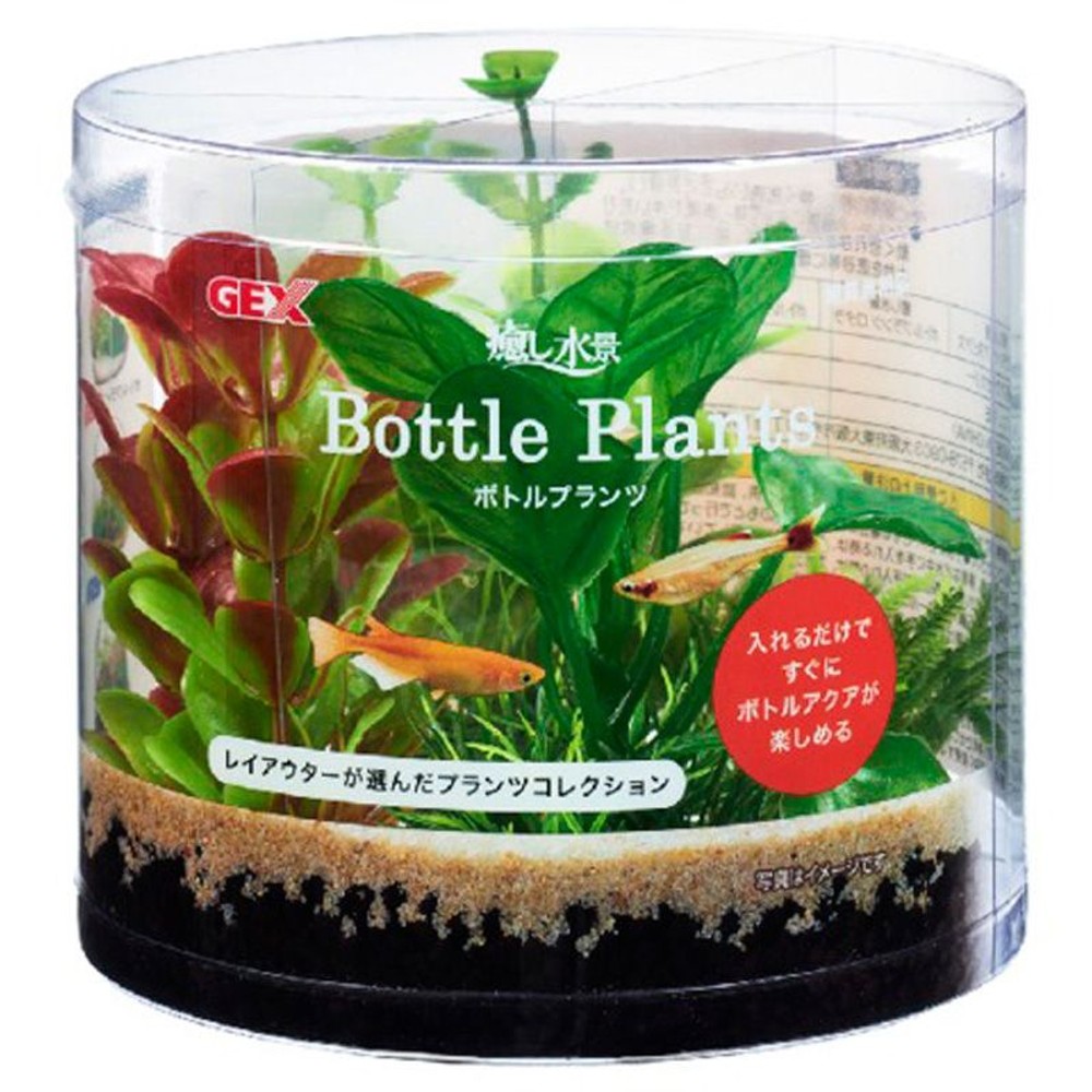 ジェックス　癒し水景　ボトルプランツ　アヌビアス, その他カラー１, その他サイズ１