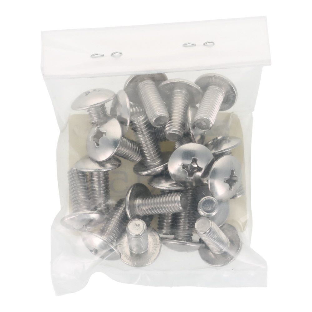 ステンレス　小ねじ　トラス　Ｍ６&times;１５　２０入, ステンレス, 20個入り