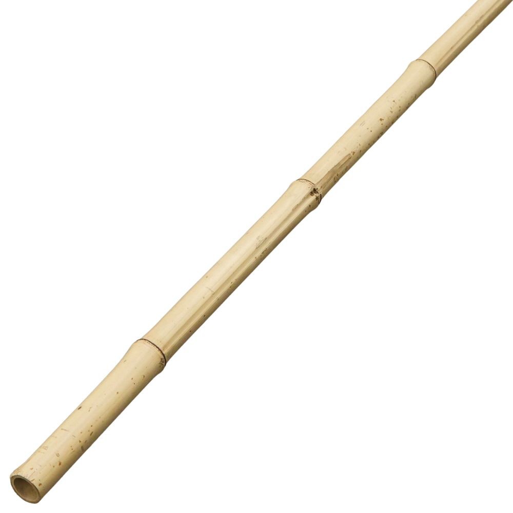 白竹（９分）約３ｍ, 白竹9分, 長さ3m