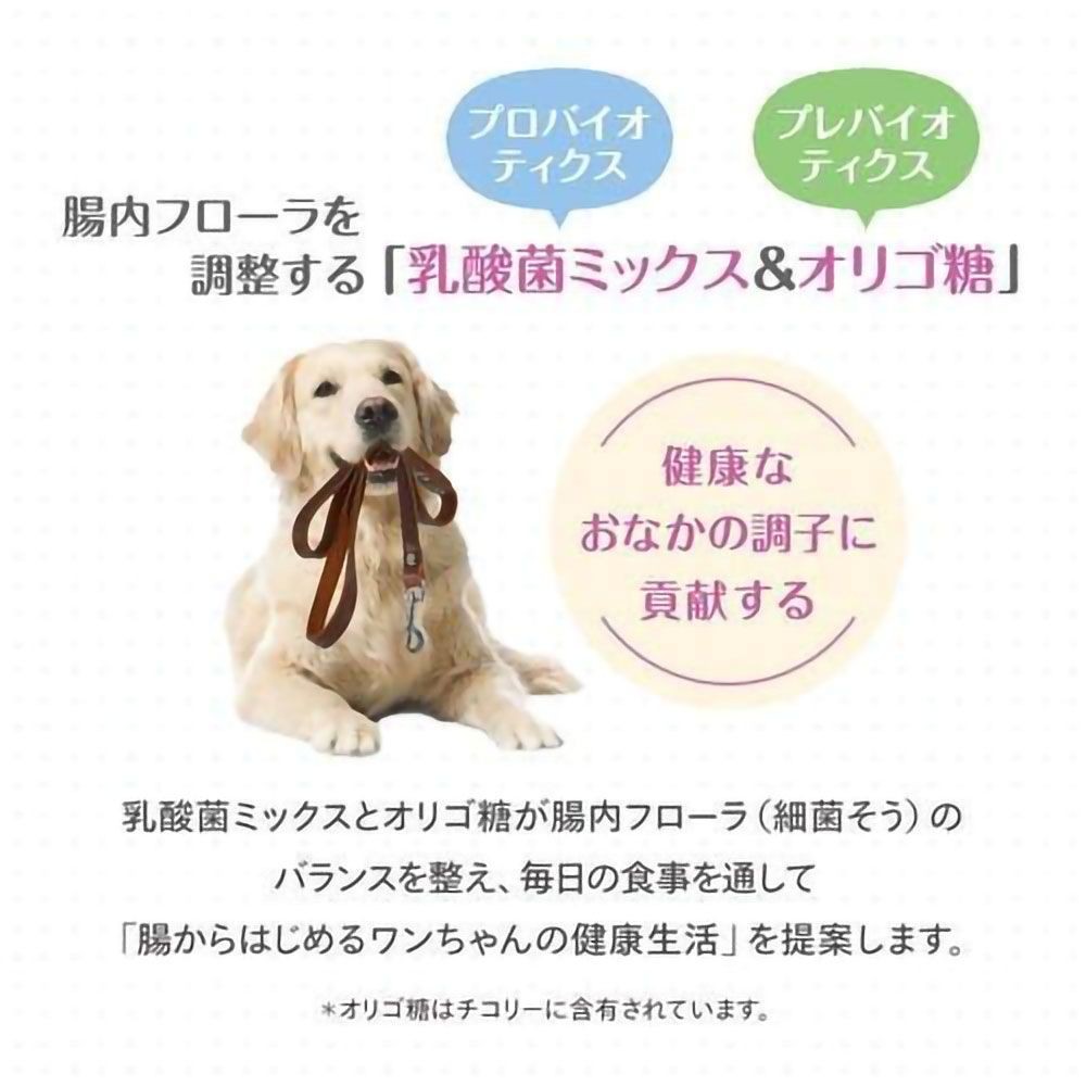 森乳 スーパーゴールド おなかラボ 成犬用 800g, 成犬用, 800g