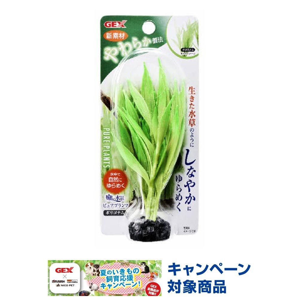 癒し水景　ピュアプランツ　ポリゴナム, その他カラー１, その他サイズ１
