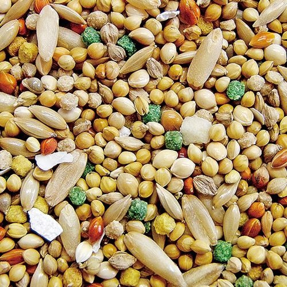 NPF バードテイスト セキセイインコ 1.1kg, セキセイインコ専用食, 1.1kg