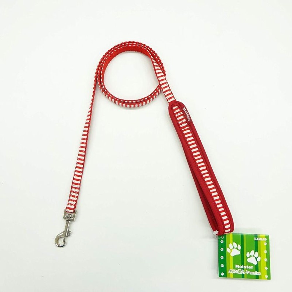 カワノ　ソフティリード　シンプルボーダー　Ｒ, その他カラー１, SSサイズ