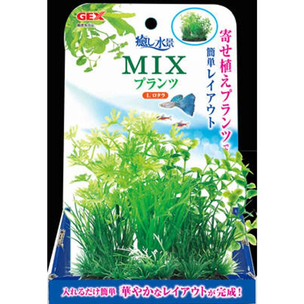 ジェックス　癒し水景ＭＩＸプランツＬロタラ, その他カラー１, その他サイズ１