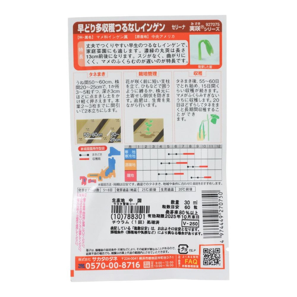 早どりつるなしインゲン　セリーナ, インゲン, 30ml