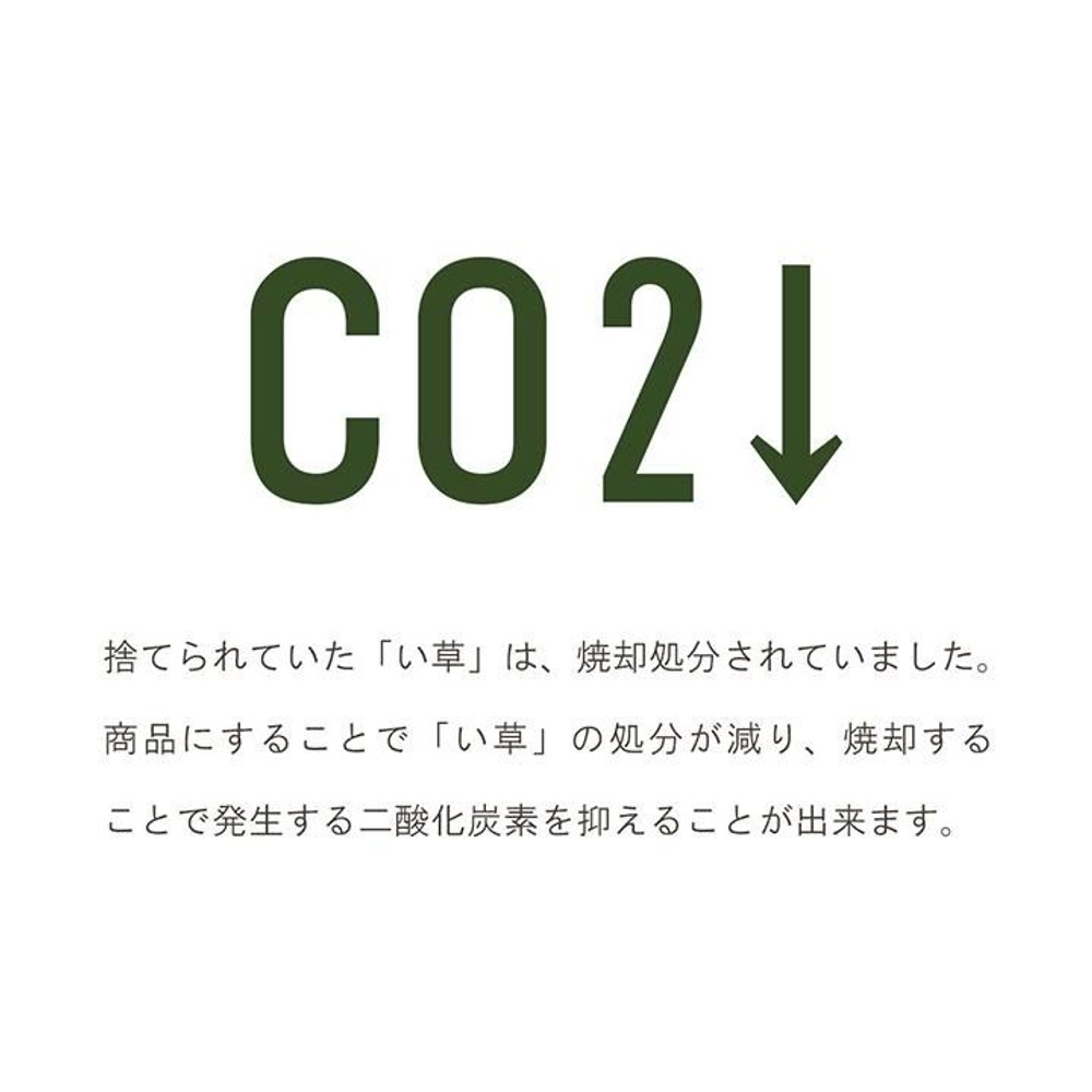 サスティナブル irucico いるしこ みらい 自然素材 国産 日本製 い草 無垢 敷き物 ラグ カーペット マット パーソナル 消臭 蒸れにくい ナチュラル 140&times;210cm 【メーカー直送・代引不可】, ナチュラル, 140&times;210cm