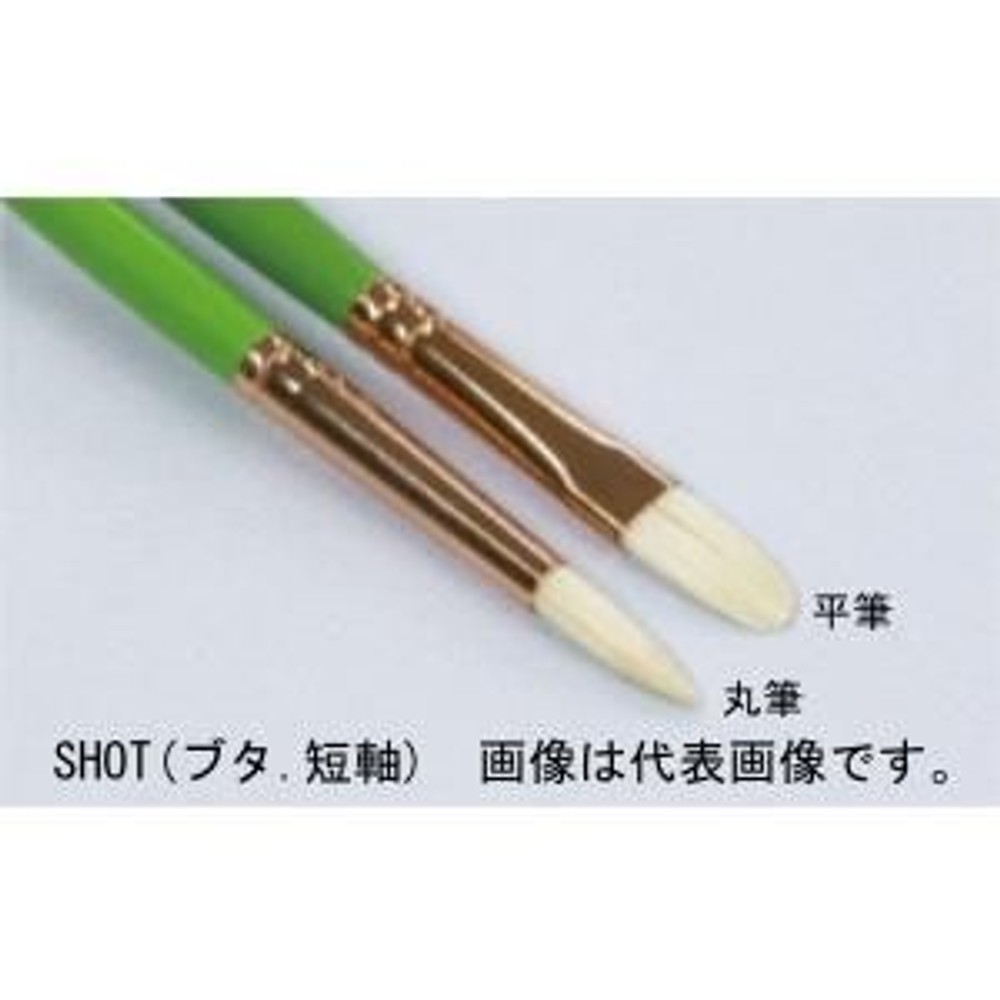 名村大成堂 SHOT(ブタ.短軸)14平 (81245142) 油彩画・水彩画・日本画・デザイン筆, SHOT(ブタ.短軸), 14平 油・水・日本画・デザイン