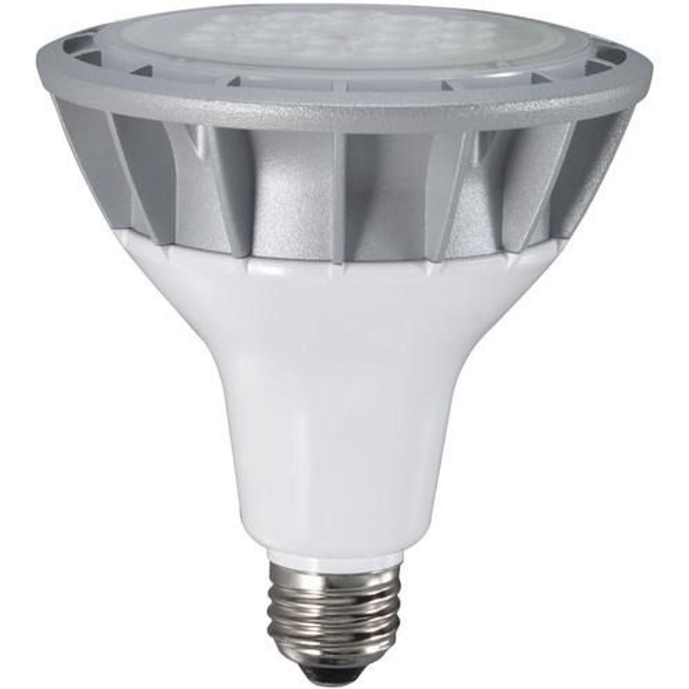 ハタヤ LED作業灯 17WLEDランプ付 RGL5, 昼白色, 明るさ：2400lm