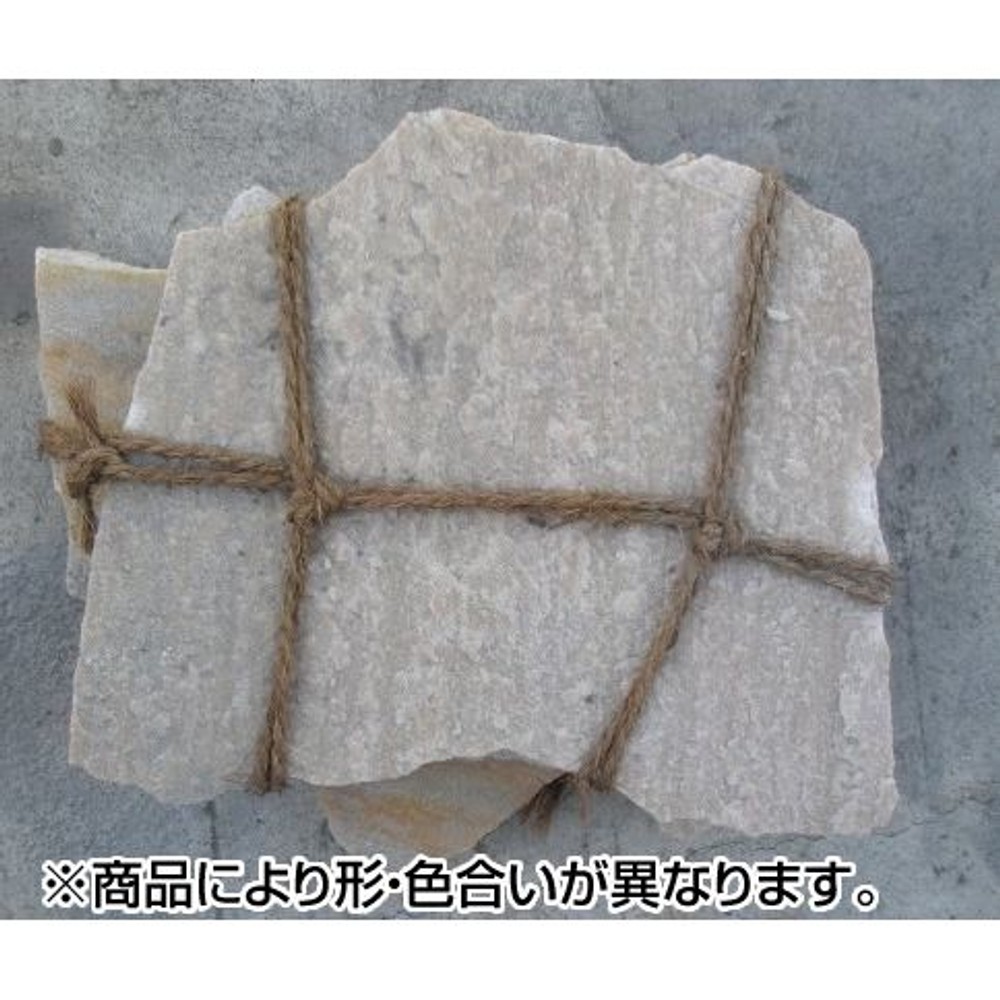 洋風乱形　アルビノ, -, 約8.0kg