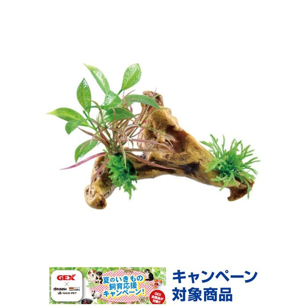 ジェックス　癒し水景　水草付き流木　ニードル, -, -