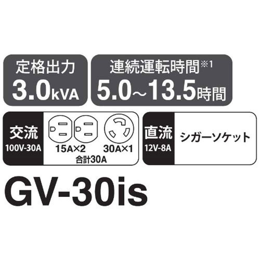 【現行品】インバーター発電機ＰＲＯＧＶー30ｉＳ, -, -