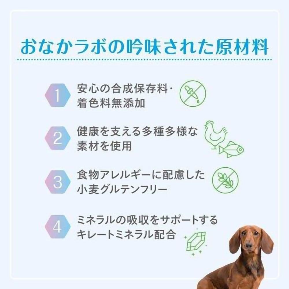森乳 スーパーゴールド おなかラボ 体重調整用 800g, 体重調整用, 800g
