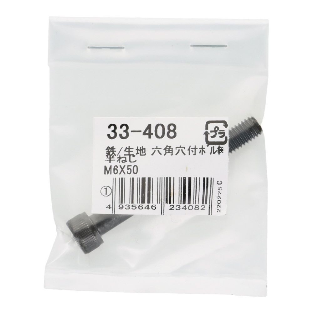 生地　六角穴付ボルト　Ｍ６&times;５０ｍｍ　１本入, ボルト, M6&times;50