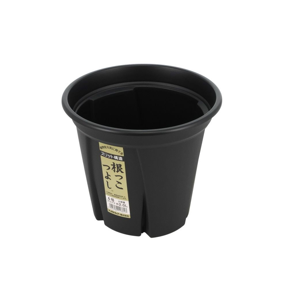 アップルウェアー　根っこつよし, ブラック, 6号