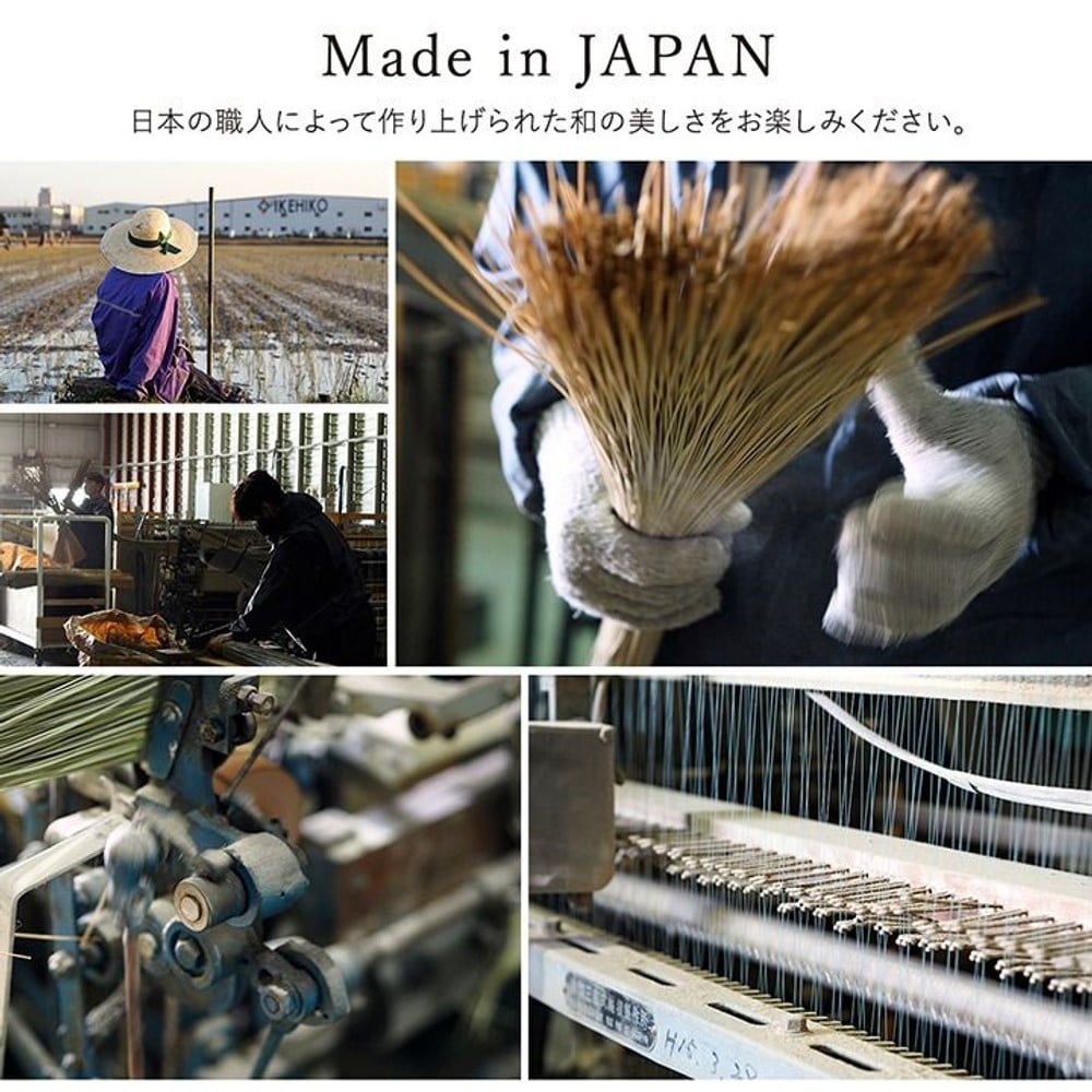 イケヒコ い草ラグカーペット Fソリッド ウレタン 無地調 グレー 【メーカー直送・代引不可】, グレー, 140&times;200cm