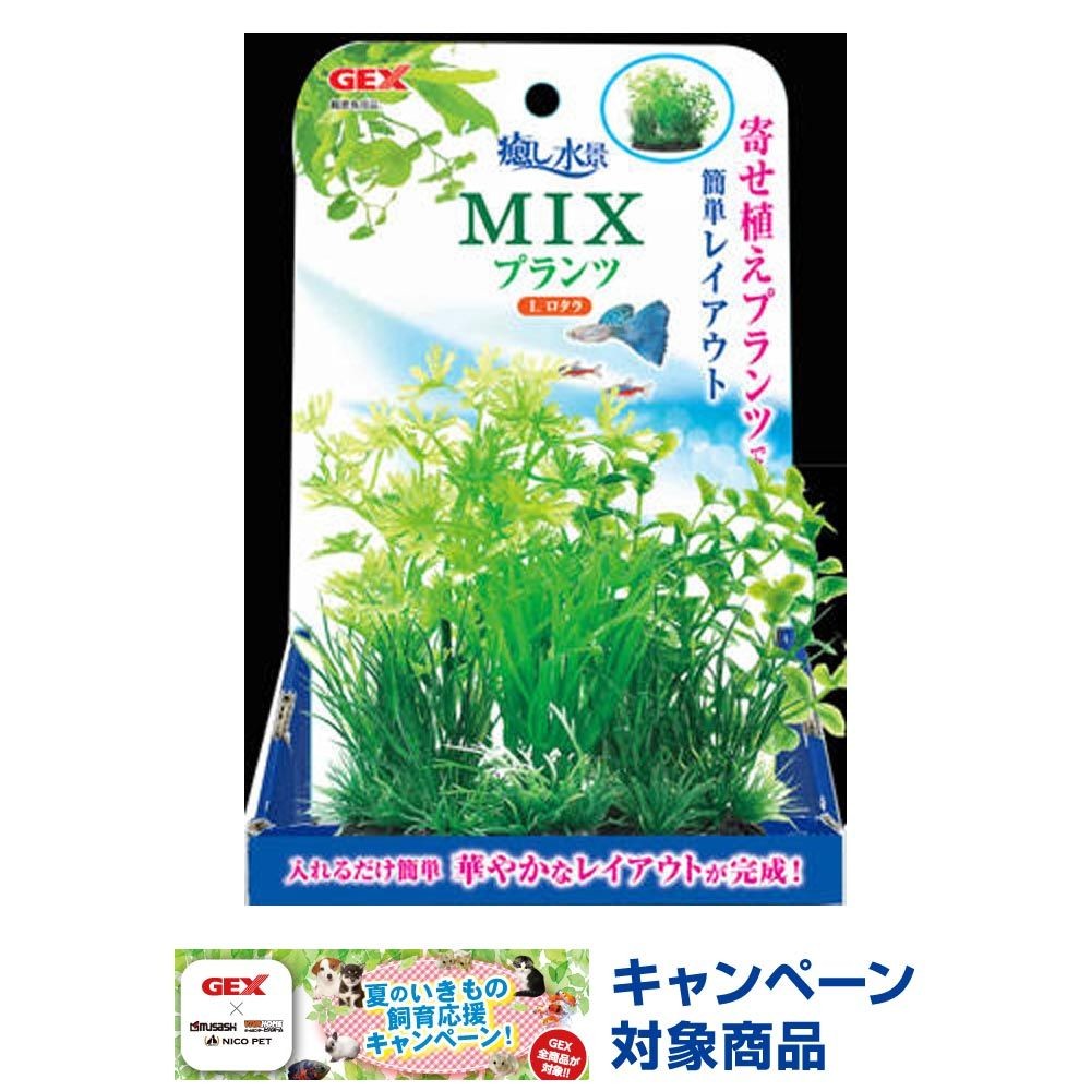 ジェックス　癒し水景ＭＩＸプランツＬロタラ, その他カラー１, その他サイズ１