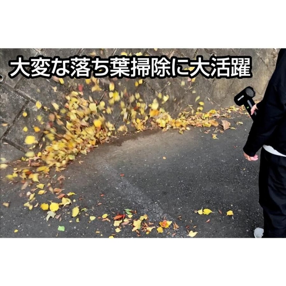 ジェントス ブロワー 疾風 HYT-EX 大型ハンディブロワー, 黒, HYT-EX