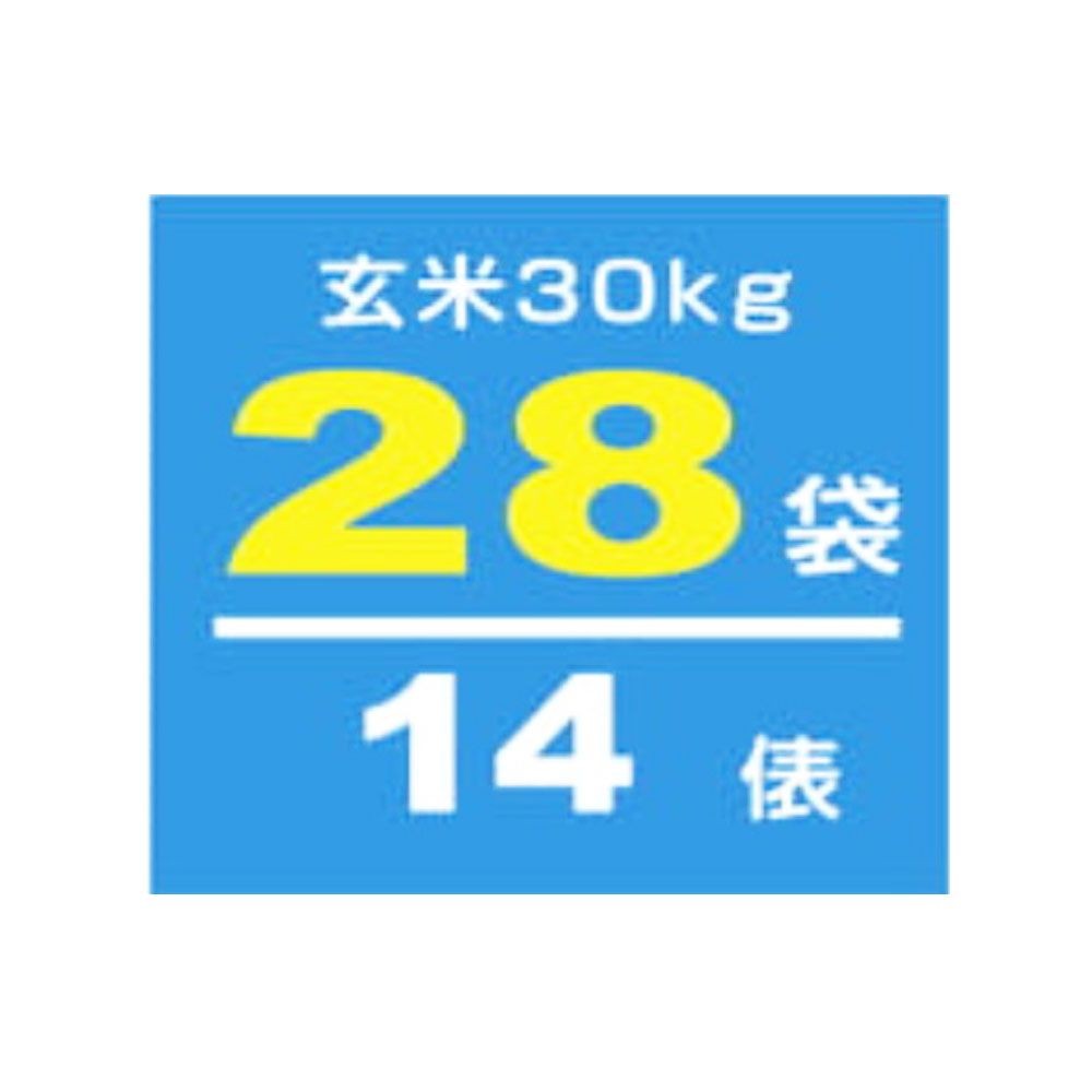 アルインコ 100V 玄米野菜兼用保冷庫28袋　TNR28A 玄米保冷庫【メーカー直送・代引不可】ビバホーム  ※納期約３〜４ケ月, グレー, 玄米28袋用