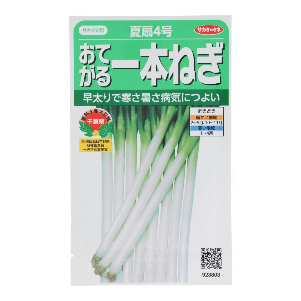 サカタ　おてがる一本ねぎ　夏扇４号, ねぎ, 3ml
