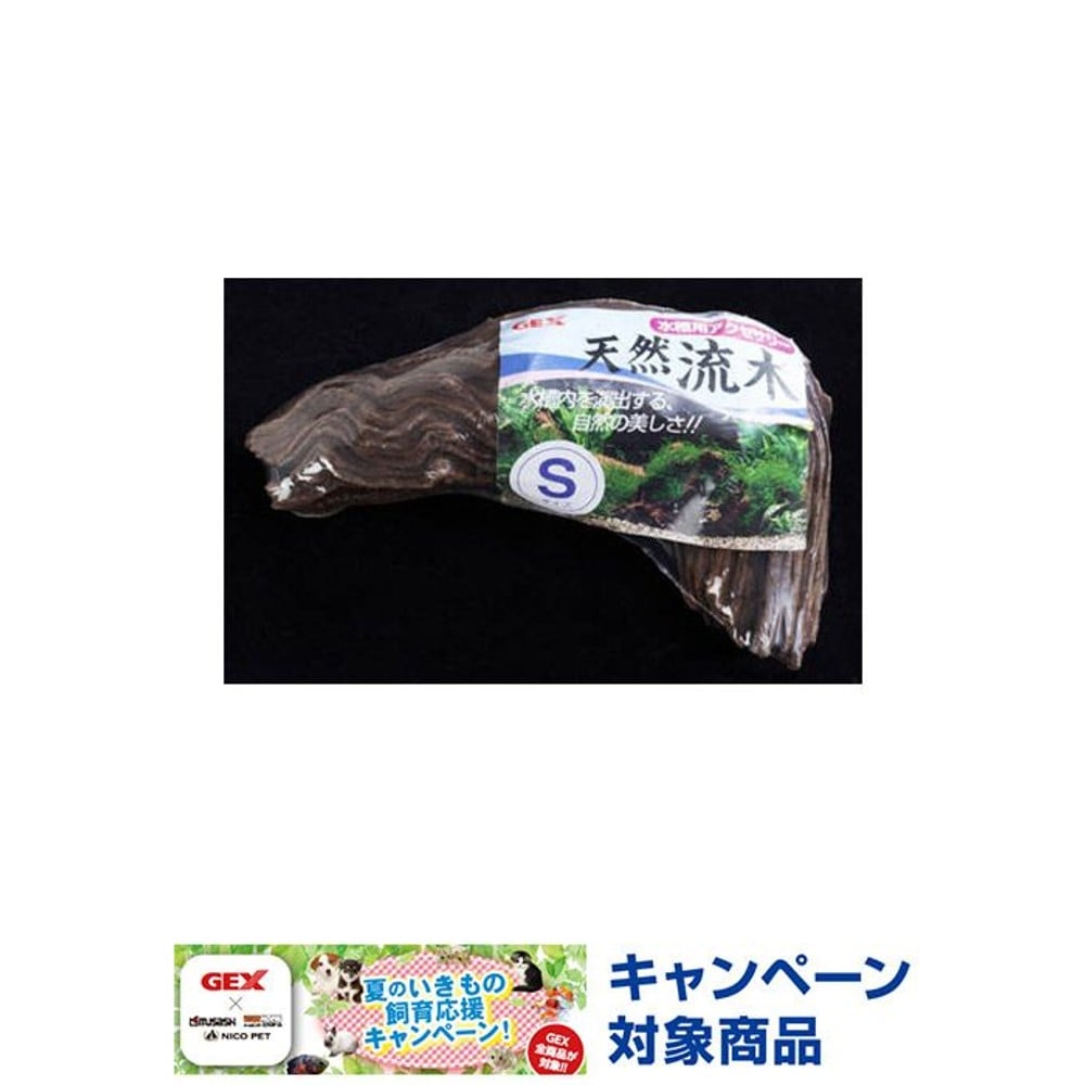 ＧＥＸ　天然流木　Ｓ, -, Sサイズ