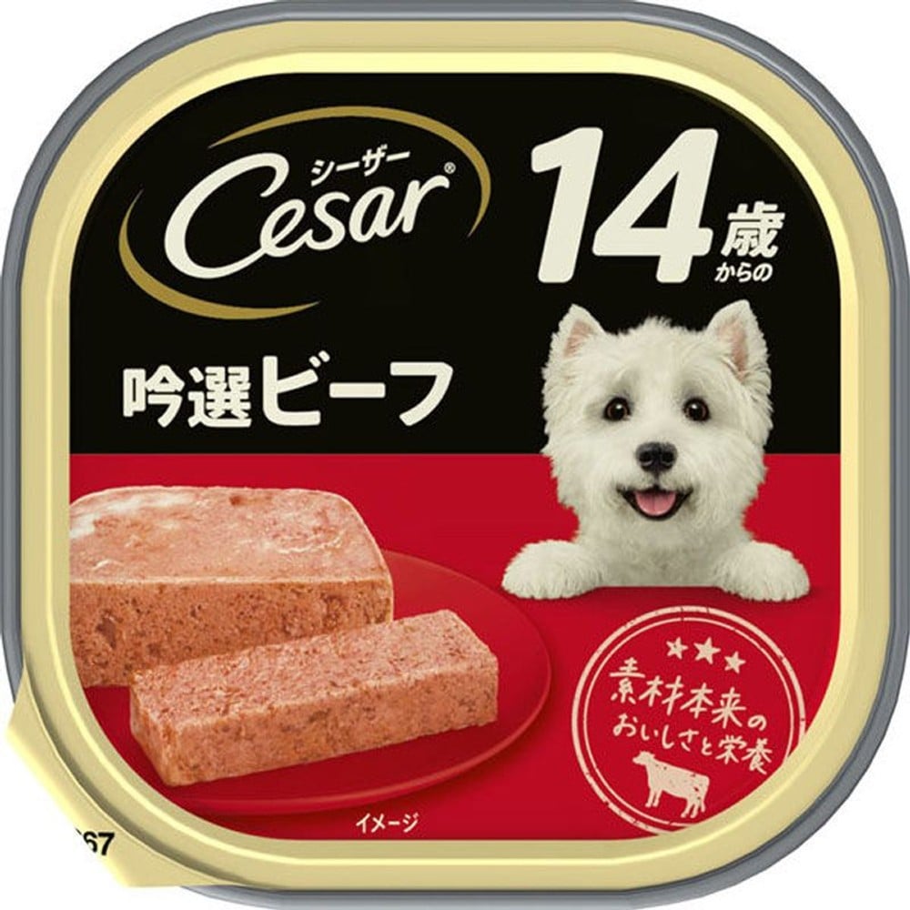 シーザー　14歳からの吟選ビーフ　100ｇ, 14歳から ビーフ, 100g