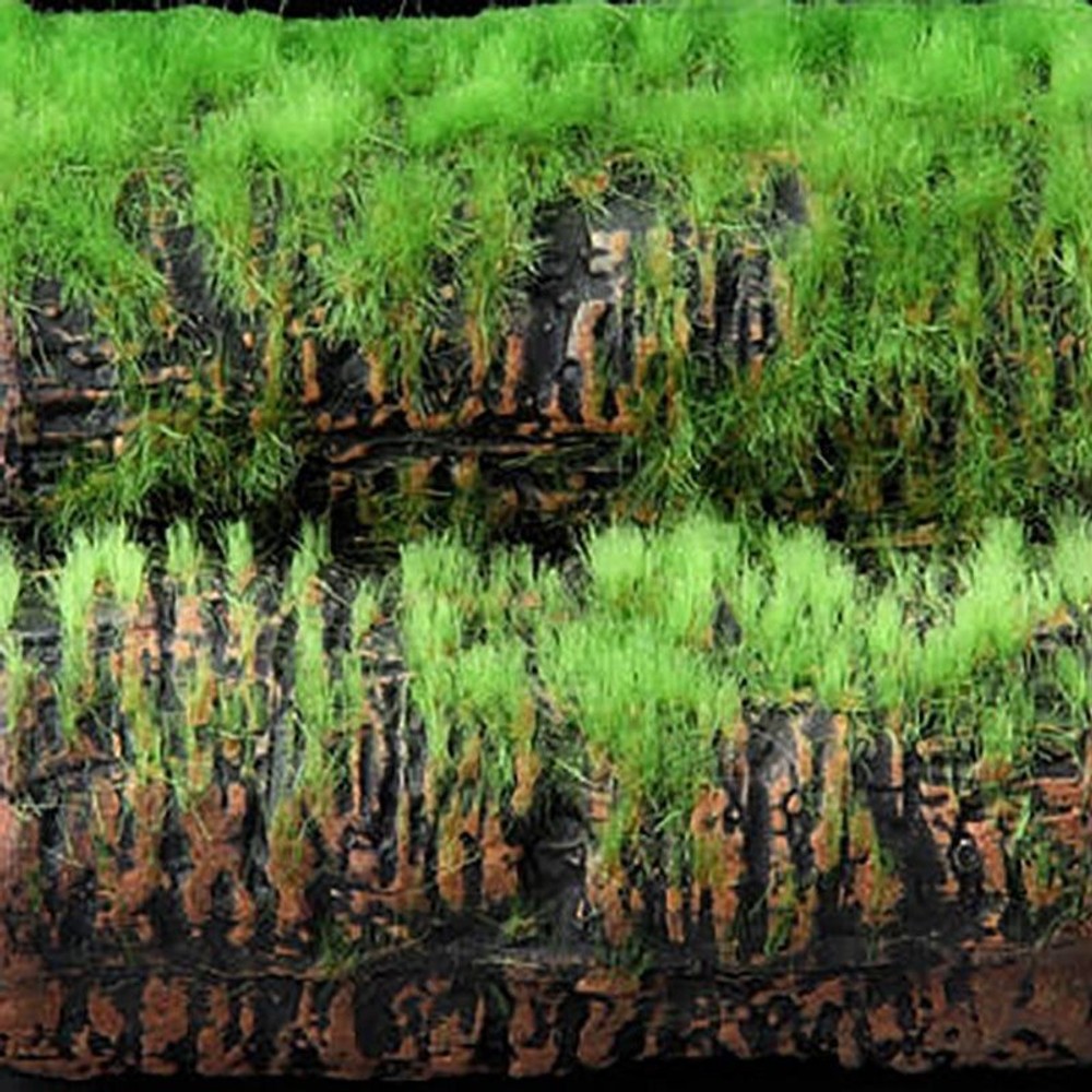 小さな和の庭土管, その他カラー１, Sサイズ