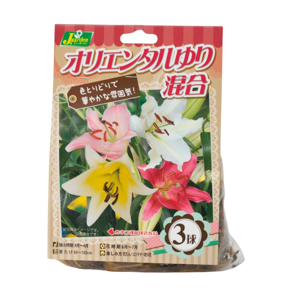 ゆりオリエンタル　混合　3球, -, 3球