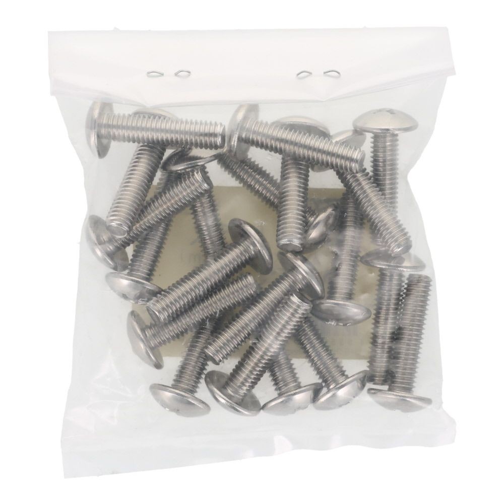 ステンレス　小ねじ　トラス　Ｍ６&times;２５　２０入, ステンレス, 20個入り