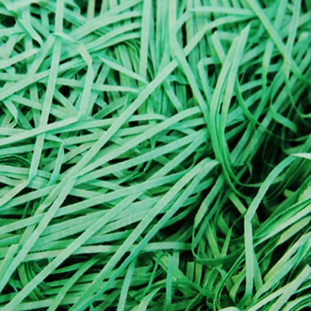 紙パッキン40ｇ, グリーン, 40g