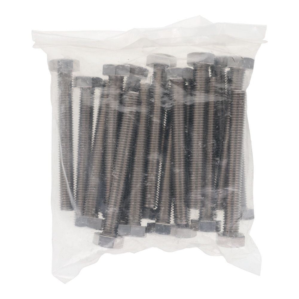 ステンレス　六角ボルト　Ｍ１２&times;１００　２０入, ボルト, M12&times;100