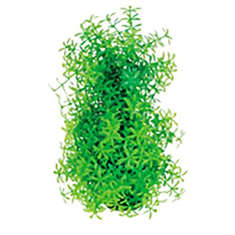 ＳＰＢＪ　テトラ　フレキシブルプラント　ＦＰー1, その他カラー１, その他サイズ１