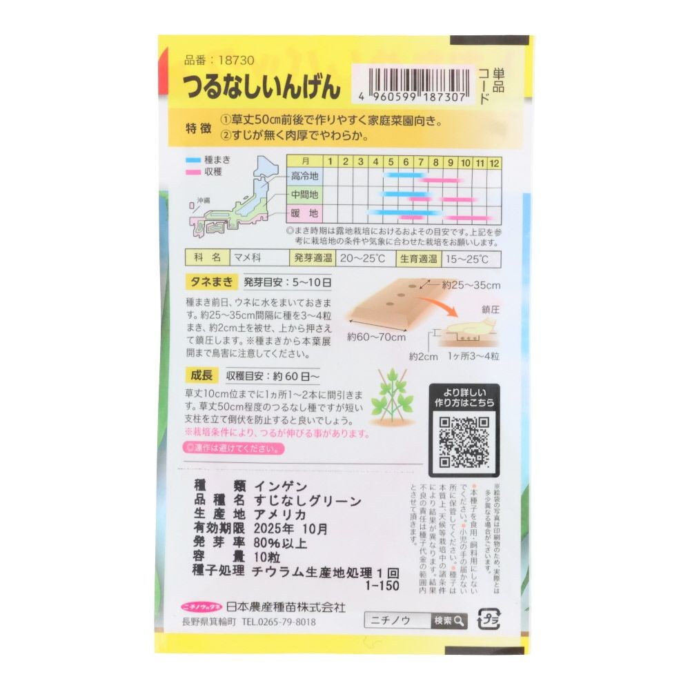 つるなしいんげん（おためしパック）, インゲン, 10粒