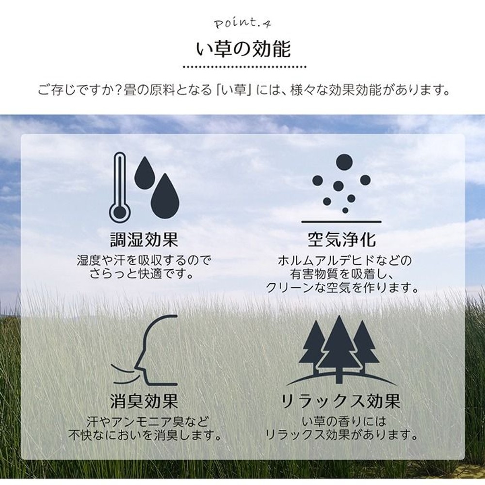 イケヒコ い草ラグばり 花ござ カーペット ラグ ギャッベ(ギャベ)柄 （レッド）【メーカー直送・代引不可】, レッド, 江戸間2畳 約174&times;174cm