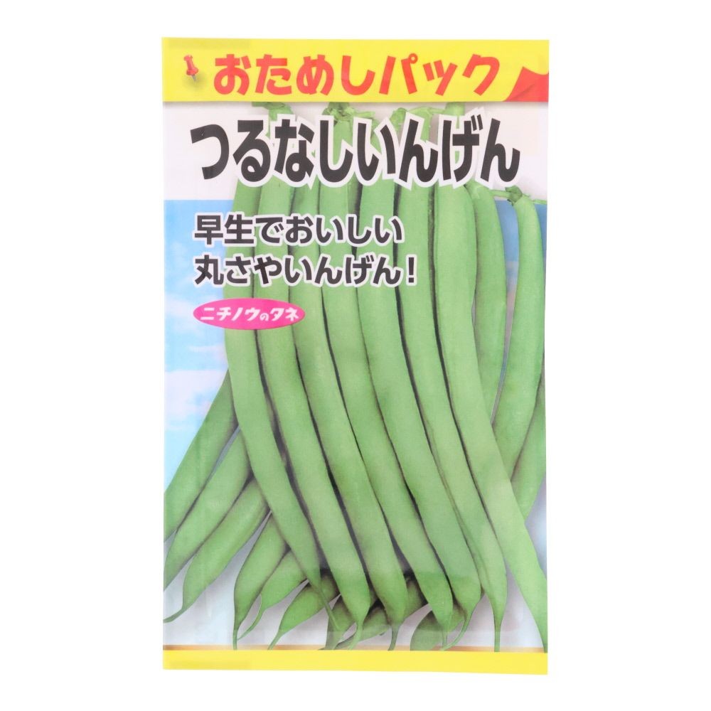 つるなしいんげん（おためしパック）, インゲン, 10粒