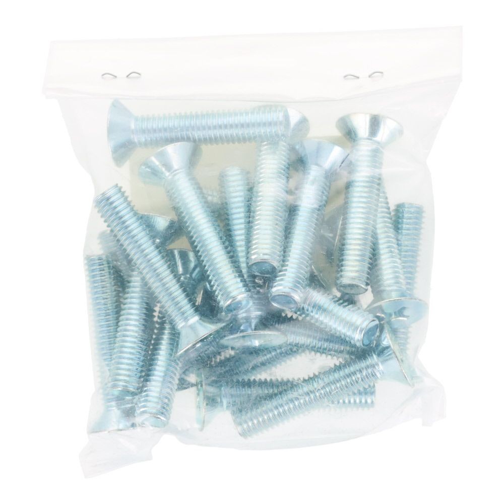 ユニクロ　小ねじ　皿　Ｍ８&times;４０　２０個入り, 小ねじ, M8&times;40