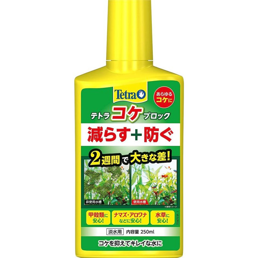 ＳＰＢＪ　テトラ　コケブロック　250ｍｌ, その他カラー１, その他サイズ１