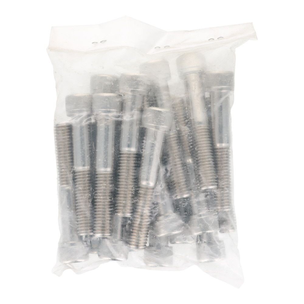 ステンレス　６角穴付ボルト　Ｍ１２&times;７０　２０個入, ステンレス, M12&times;70
