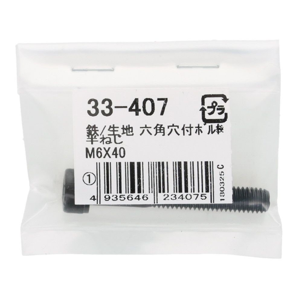 生地　六角穴付ボルト　Ｍ６&times;４０ｍｍ　１本入, ボルト, M6&times;40
