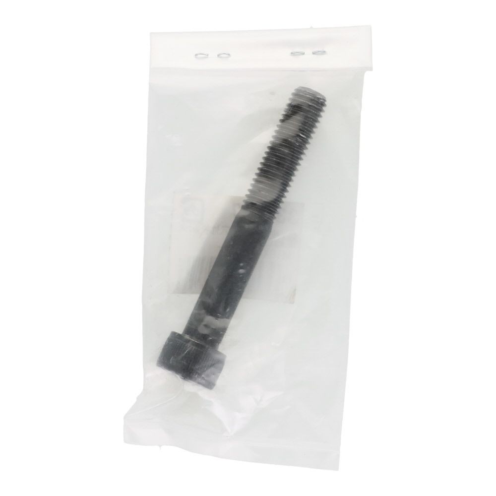 生地　六角穴付ボルト　Ｍ１０&times;７０ｍｍ　１本入, ボルト, M10&times;70