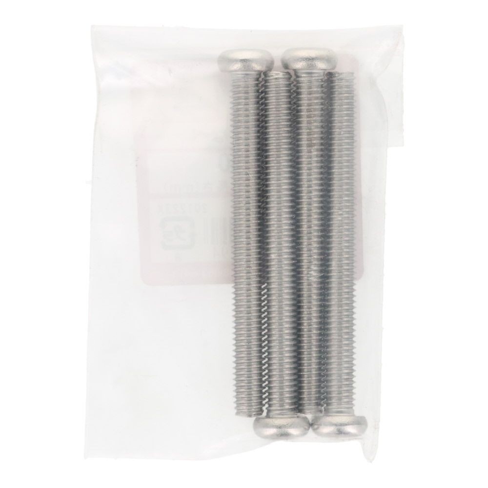 ＯＨＳＡＴＯ　ステン　コネジ　ナベ　Ｍ６&times;６０, ステンレス, 4本入り