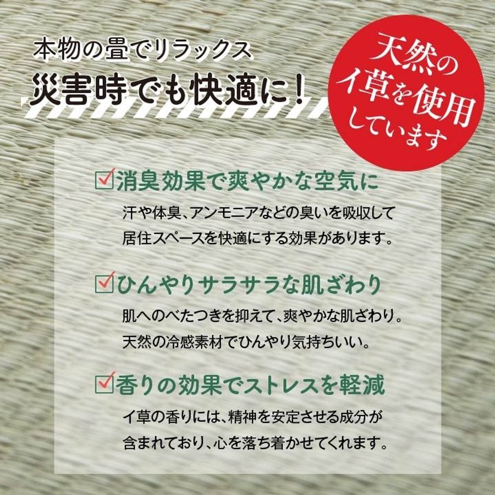 イケヒコ 防災用品 簡易段ボールベッド+畳マットレス シングル 約100&times;200cm 5連 【メーカー直送・代引不可】, 畳付き, 100&times;200cm