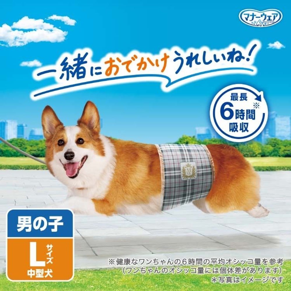 マナーウェア男の子用　中型犬用　40枚, 男の子用, Lサイズ 40枚入
