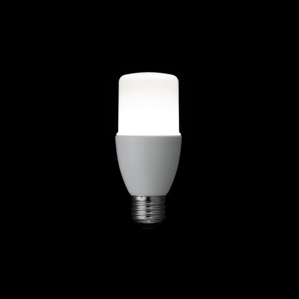ヤザワ　Ｔ型ＬＥＤ　100Ｗ形　Ｅ26, その他カラー１, その他サイズ１