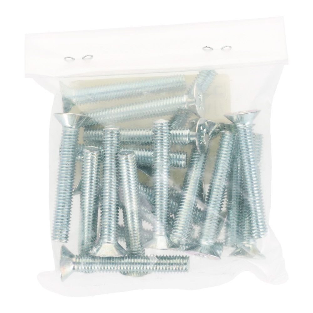 ユニクロ　小ねじ　皿　Ｍ６&times;４０　２０個入り, 小ねじ, M6&times;40