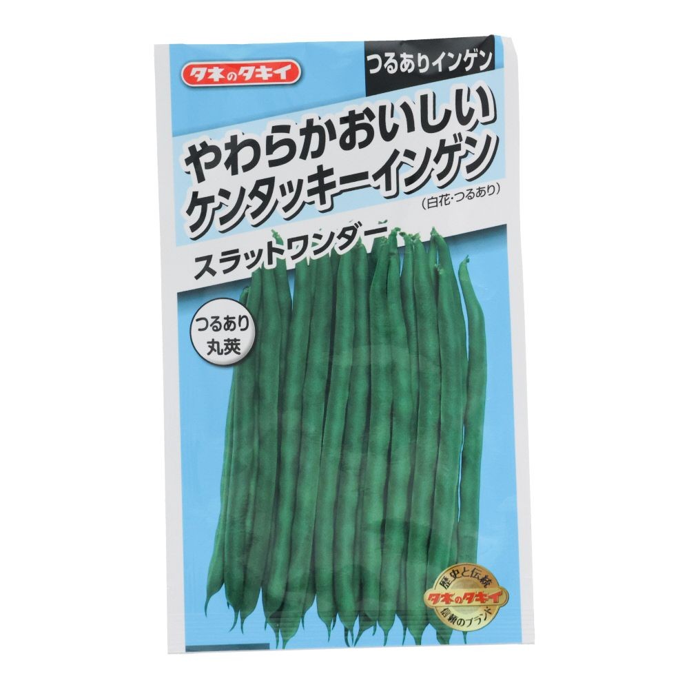 タキイ　やわらかおいしいケンタッキーインゲンＳワンダー, インゲン, 20ml