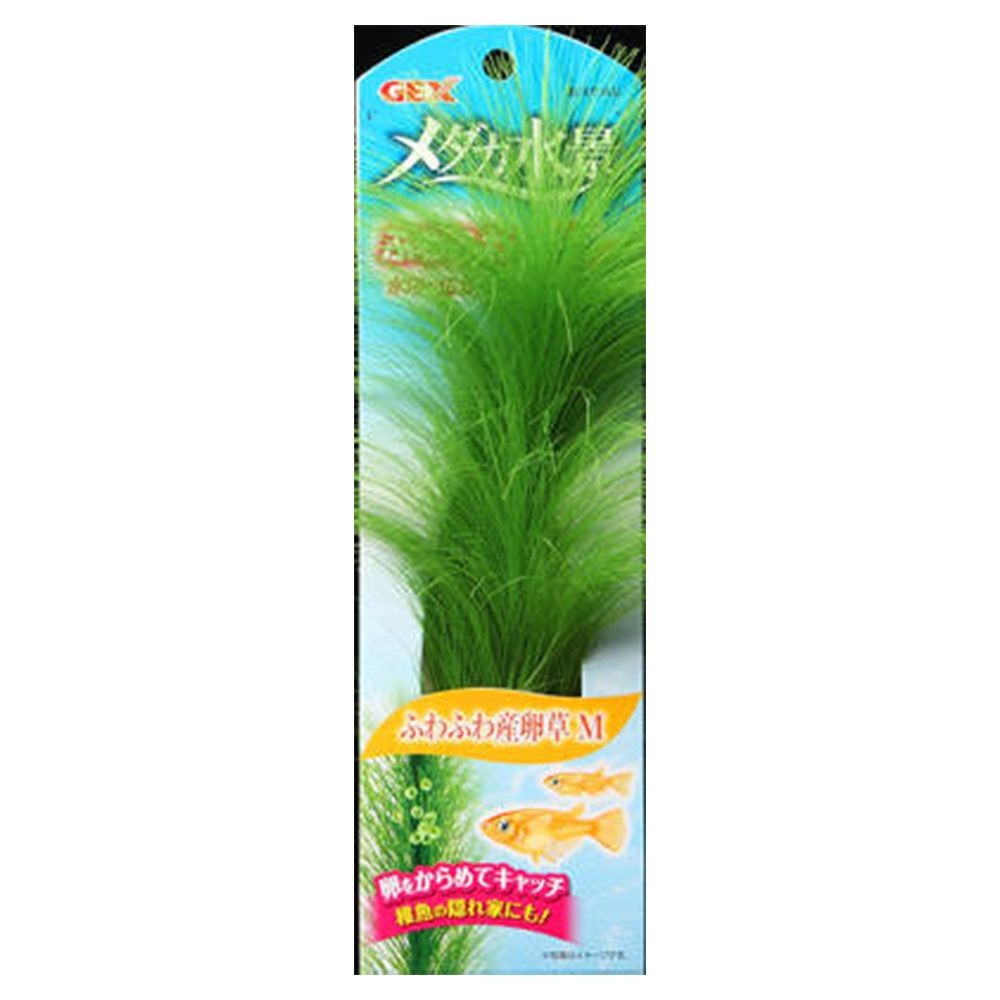メダカ水景ふわふわ産卵草Ｓ, -, Sサイズ
