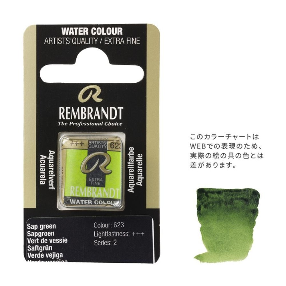 レンブラント固形水彩 623 サップグリーン (T0586623-1), 623 サップグリーン , 5g固形水彩
